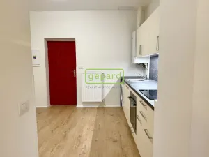 Pronájem bytu 2+kk, Praha - Žižkov, Vlkova, 35 m2