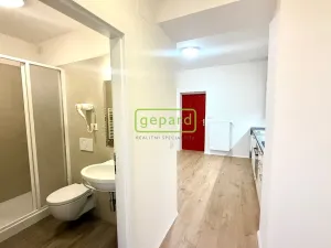 Pronájem bytu 2+kk, Praha - Žižkov, Vlkova, 35 m2