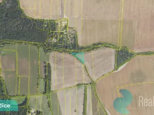 Prodej pole, Drahelčice, 2891 m2