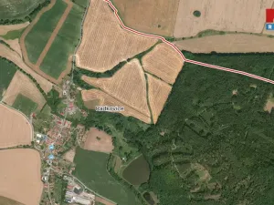 Prodej pole, Radkovice, 2942 m2