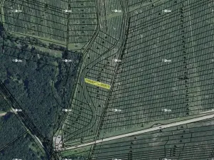 Prodej pole, Nosislav, 5290 m2