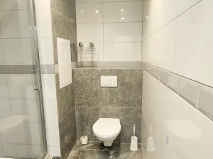 Pronájem bytu 1+1, Cheb, Lesní, 35 m2