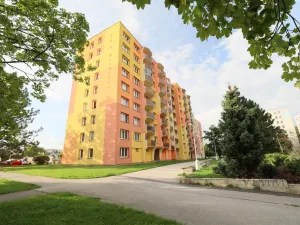 Pronájem bytu 1+1, České Budějovice, Josefy Kolářové, 41 m2