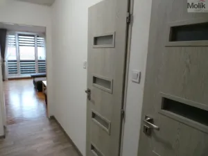 Prodej bytu 2+1, Most, Petra Jilemnického, 56 m2