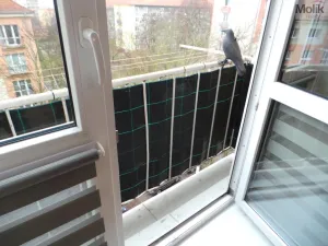 Prodej bytu 2+1, Most, Petra Jilemnického, 56 m2