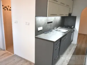 Pronájem bytu 2+1, Plzeň, Dvořákova, 62 m2