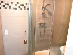 Pronájem bytu 2+1, Plzeň, Dvořákova, 62 m2