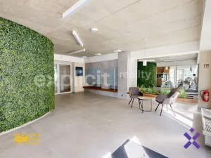 Pronájem bytu 1+kk, Zlín, Nad Stráněmi, 33 m2