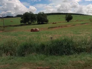 Dražba louky, Mnichov, 12065 m2