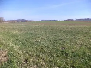 Dražba louky, Dolní Pěna, 4291 m2