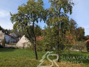 Prodej pozemku, Volenice, 1966 m2