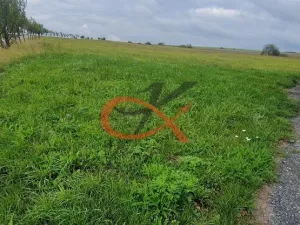 Prodej pozemku pro bydlení, Větřkovice, 4626 m2