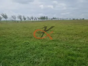 Prodej pozemku pro bydlení, Větřkovice, 4626 m2