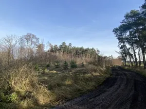 Prodej lesa, Kostelní Lhota, 9438 m2