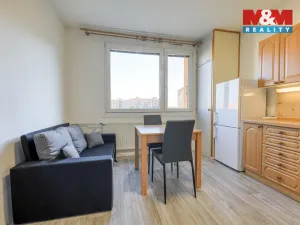 Pronájem bytu 1+1, Plzeň, Manětínská, 39 m2