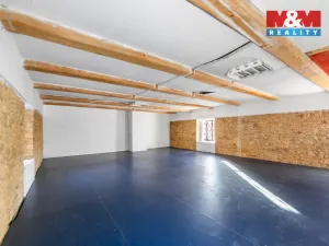 Pronájem zemědělské usedlosti, Dobrovíz, Kladenská, 10270 m2