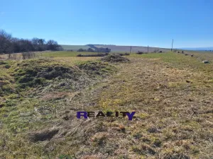 Prodej pozemku pro bydlení, Žatec - Milčeves, 4163 m2