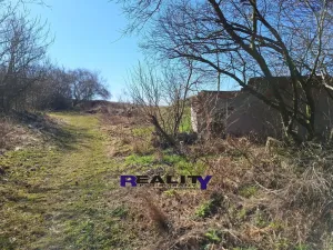 Prodej pozemku pro bydlení, Žatec - Milčeves, 4163 m2