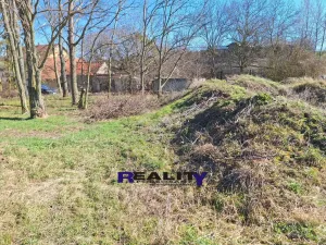 Prodej pozemku pro bydlení, Žatec - Milčeves, 4163 m2