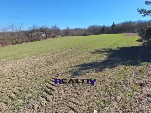 Prodej pozemku pro bydlení, Podbořany, 4588 m2