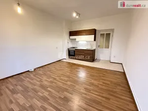 Prodej bytu 2+kk, Praha - Nusle, Boleslavova, 57 m2