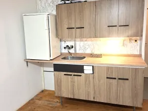 Pronájem bytu 1+kk, České Budějovice, Plzeňská, 23 m2