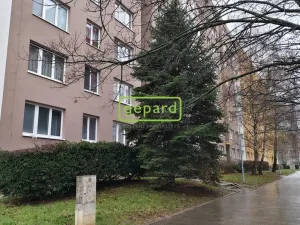 Pronájem bytu 2+kk, Brno - Židenice, Mutěnická, 39 m2