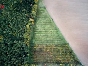 Prodej pozemku pro bydlení, Těchlovice, 24402 m2