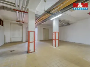 Pronájem skladu, Plzeň - Lobzy, Sousedská, 12 m2