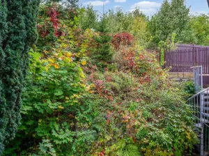 Prodej bytu 2+kk, Černý Důl - Čistá v Krkonoších, 44 m2