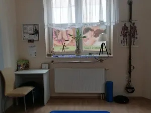 Pronájem komerční nemovitosti, Pardubice - Zelené Předměstí, nábřeží Závodu míru, 15 m2