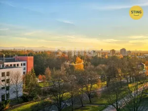 Pronájem bytu 2+1, Karviná, Žižkova, 51 m2