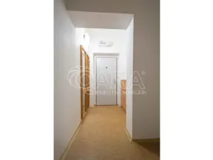 Pronájem bytu 1+kk, Mělník, Čechova, 30 m2