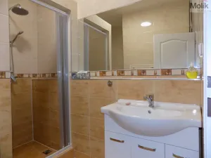 Pronájem bytu 2+1, Teplice, U Hadích lázní, 53 m2