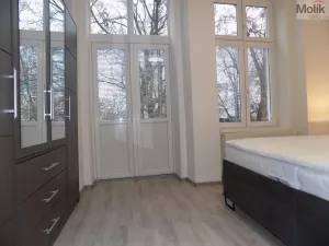 Pronájem bytu 2+1, Teplice, U Hadích lázní, 53 m2