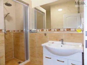 Pronájem bytu 2+1, Teplice, U Hadích lázní, 53 m2