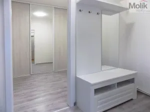 Pronájem bytu 2+1, Teplice, U Hadích lázní, 53 m2