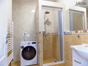 Pronájem bytu 2+1, Teplice, U Hadích lázní, 53 m2