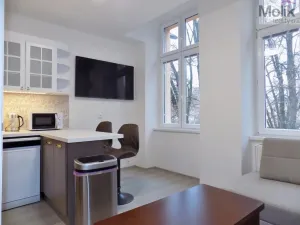 Pronájem bytu 2+1, Teplice, U Hadích lázní, 53 m2