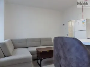 Pronájem bytu 2+1, Teplice, U Hadích lázní, 53 m2