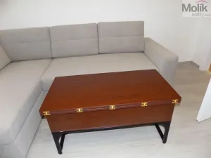 Pronájem bytu 2+1, Teplice, U Hadích lázní, 53 m2