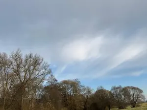 Prodej pozemku, Chvalšiny, 21761 m2