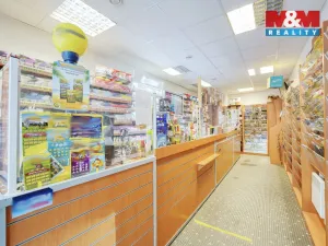 Pronájem obchodního prostoru, Plzeň - Jižní Předměstí, Goethova, 33 m2