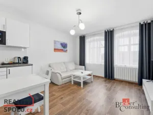 Prodej ubytování, Broumov, Malé náměstí, 298 m2