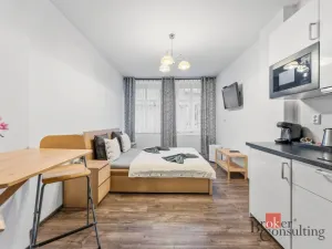 Prodej ubytování, Broumov, Malé náměstí, 298 m2