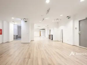 Pronájem obchodního prostoru, Brno, Masarykova, 176 m2