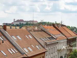Prodej bytu 6+kk a větší, Brno, Čápkova, 209 m2
