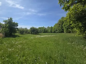 Prodej pozemku pro bydlení, Maršovice, Maršovice, 961 m2