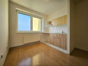 Pronájem bytu 1+kk, Brno, Svitavské nábřeží, 24 m2