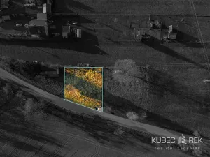 Prodej pozemku pro bydlení, Tučapy, 785 m2